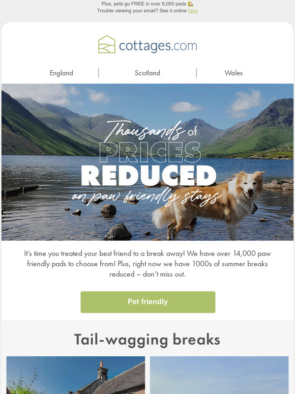 Thousands of pet friendly breaks REDUCED