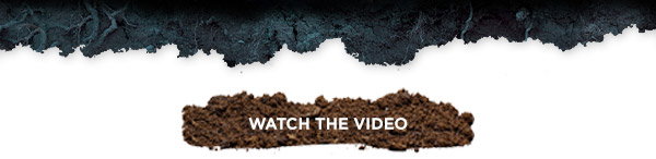 Watch The Video
