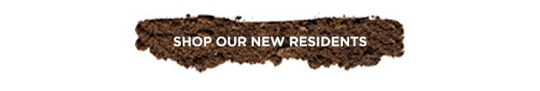Shop Our New Residents