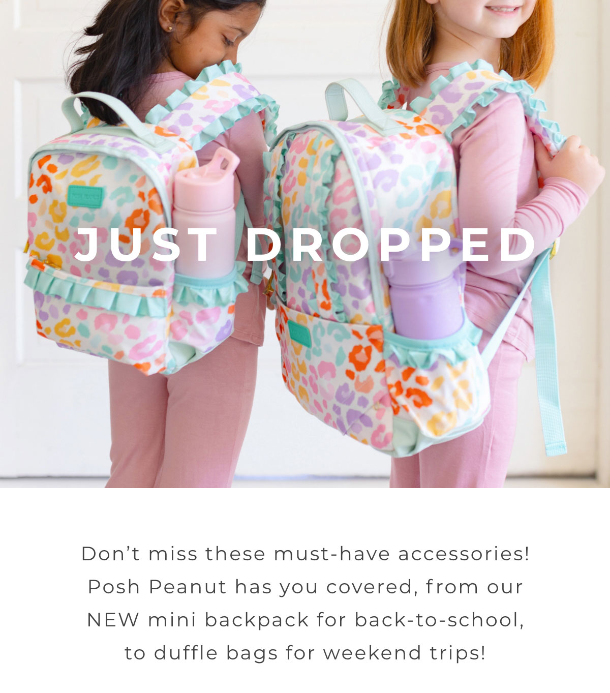 Everything To Know About Posh Peanut's New Diaper Bag Launch