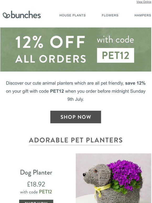 Save 12% on beautiful house plants with code PET12