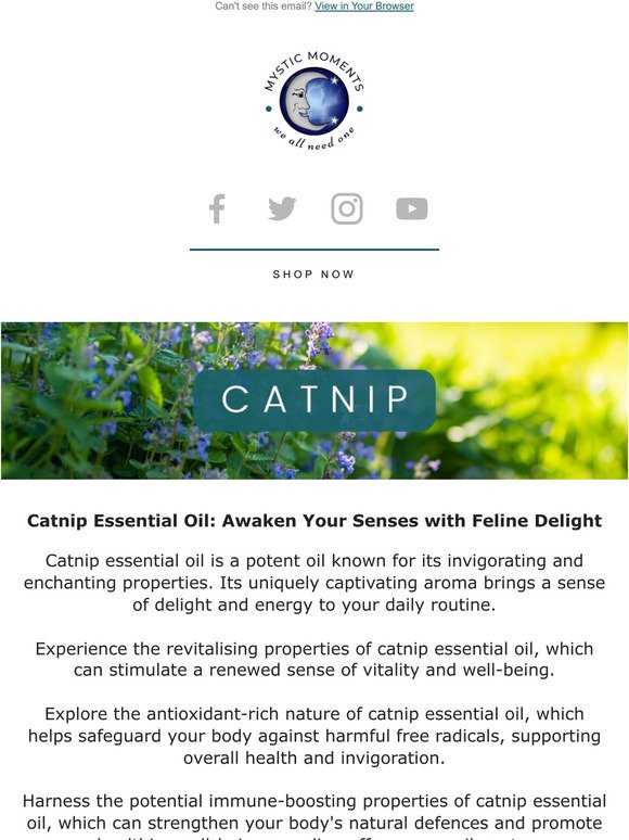 Catnip - 10% Off!🍃
