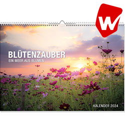 Blütenzauber Premiumkalender 2024