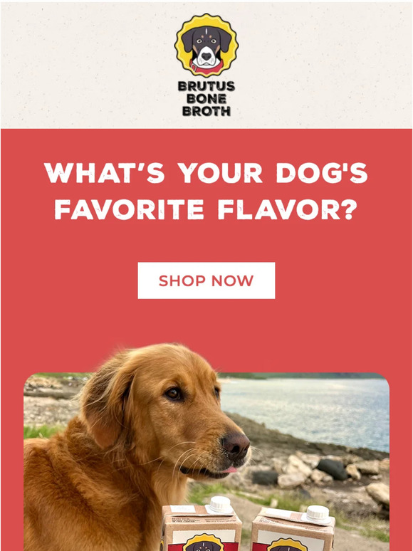 Let your dog decide: Chicken or Beef?