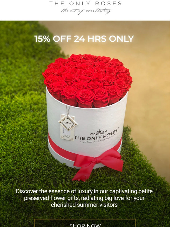Unlock a 15% Storewide Discount: Spoil Your Summer Guests in Style!