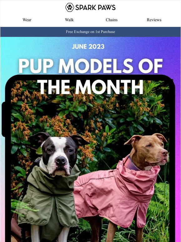 Pup Model of the Month: June 2023 Edition 😍⭐