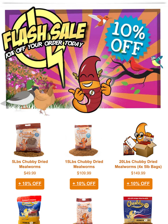 ⚡ FLASH SALE ⚡ - Save 10% On Your Order Today!