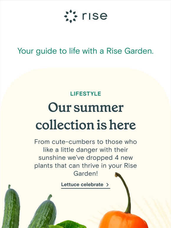 This Week at Rise Gardens Vol. 34 🌱🌞