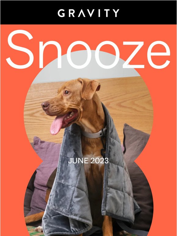 ✉️The June Snooze Letter ✉️
