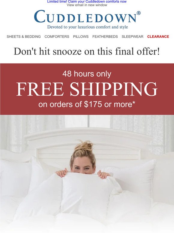 Free Shipping - a special offer just for you