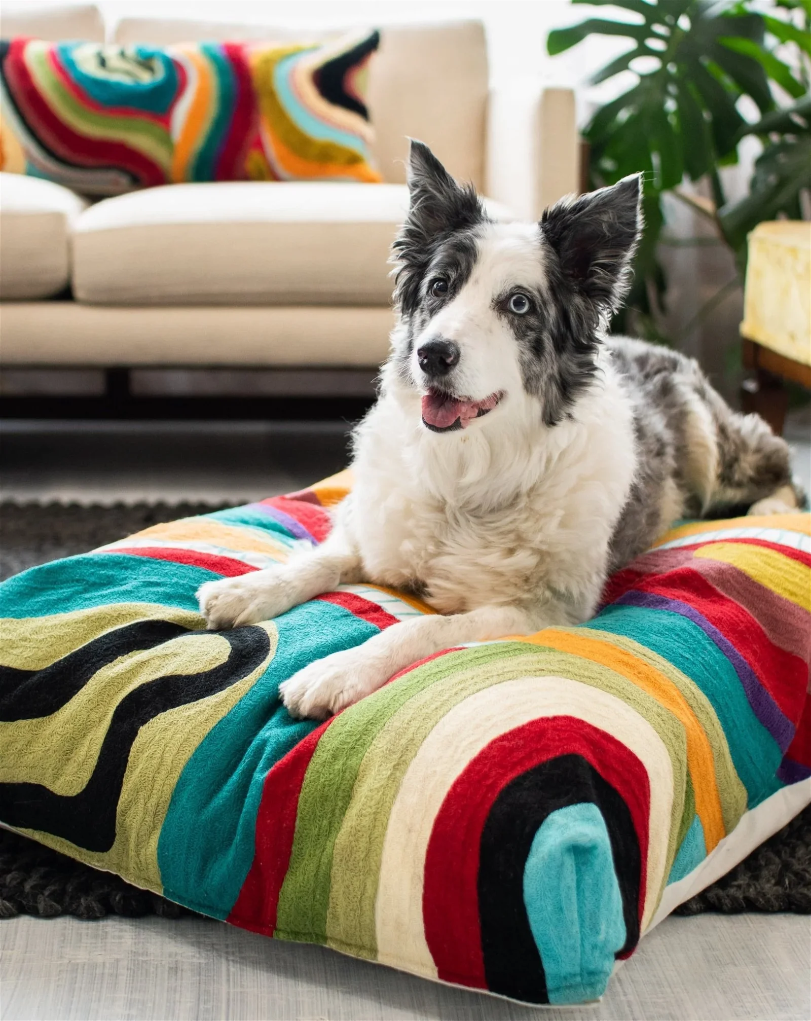Image of Echo Abstract Organic Cotton Dog Bed