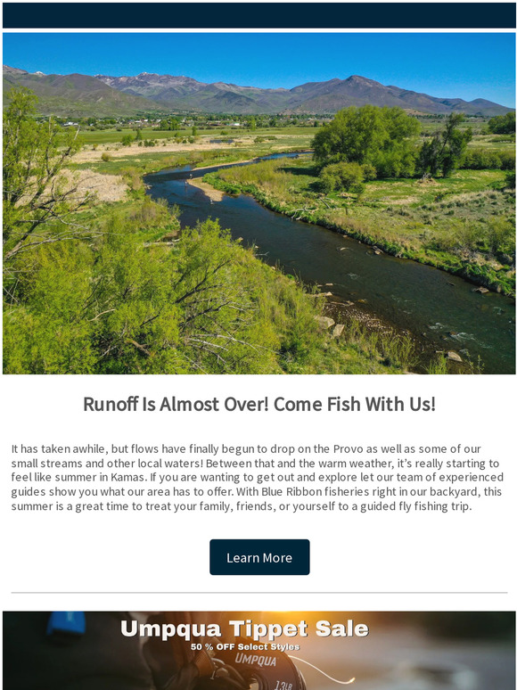 Summer Is Here: It's Time to Fish!