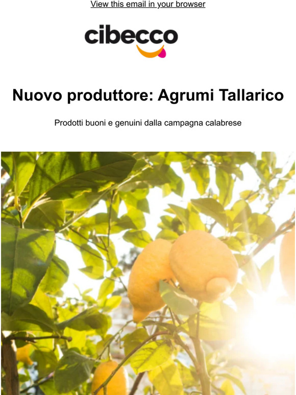 Nuovo Produttore: Agrumi Tallarico
