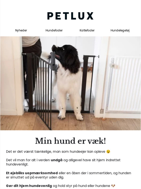 Har du dette (hunde)problem?