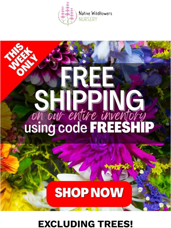 Free Shipping On All Orders