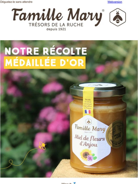Découvrez le miel bio toutes fleurs d'Anjou, le trésor de ruche de la  Famille Mary