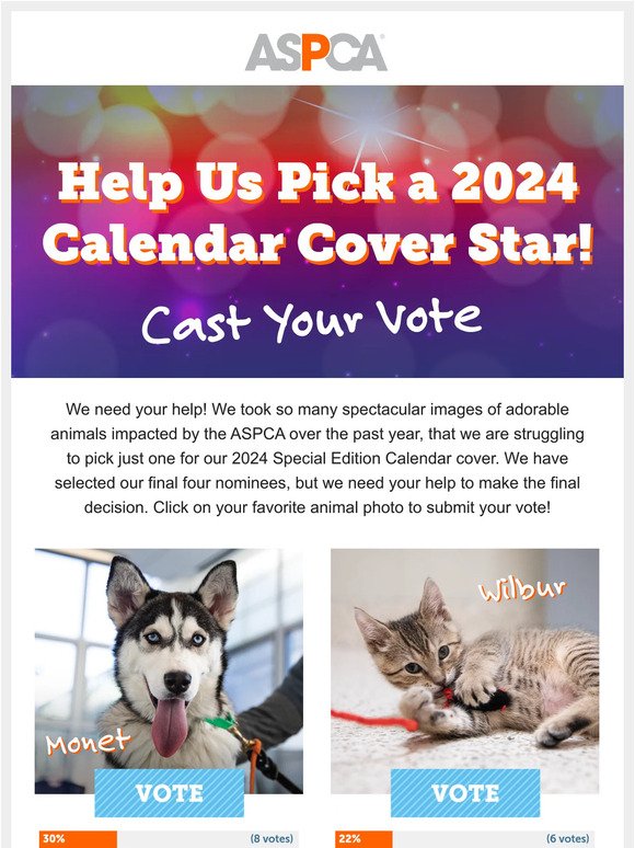 Pick Our 2024 Calendar Cover Star! (VOTE)