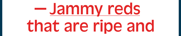 Jammy Reds