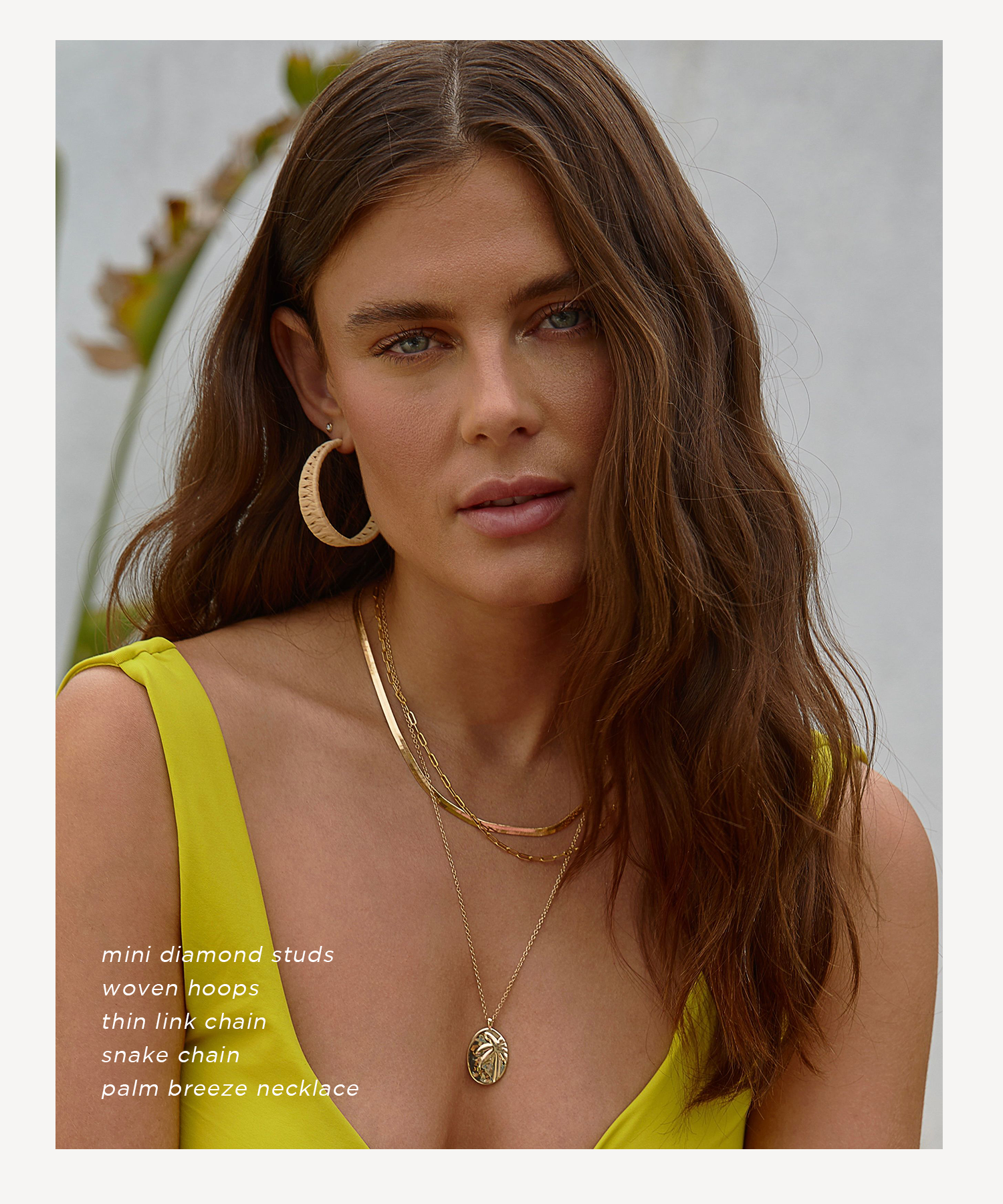 Mini Diamond Studs | Woven Hoops | Think Link Chain | Snake Chain | Palm Breeze Necklace