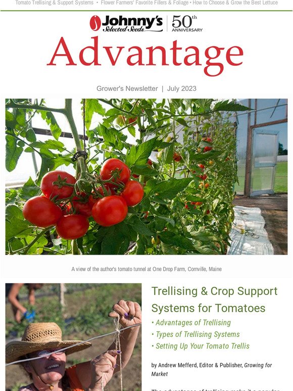 July Advantage: Trellising Tomatoes, Choosing Lettuces, Favorite Fillers & Foliages