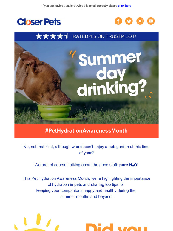 Calling all owners, did you know pets get sunburn too?