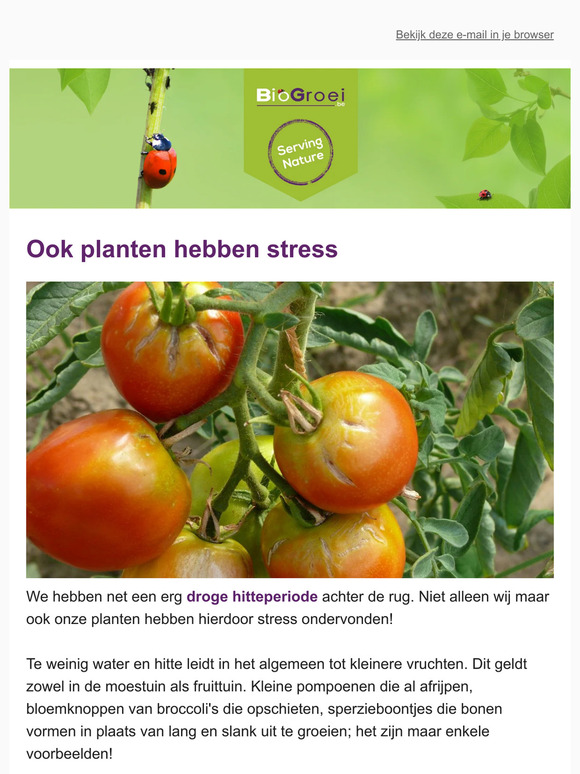 🐞 Hou je planten zen | Neushoornkever gespot