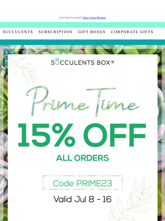 Freshen Up Your Home: 15% Off Plants & Planters!