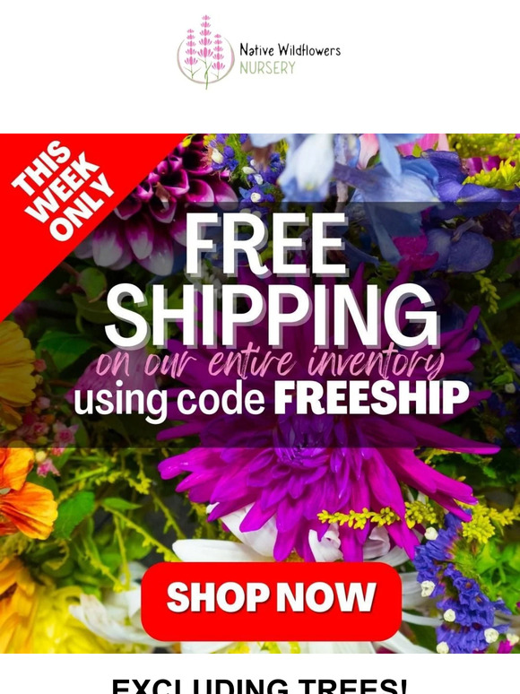 Free Shipping On All Orders