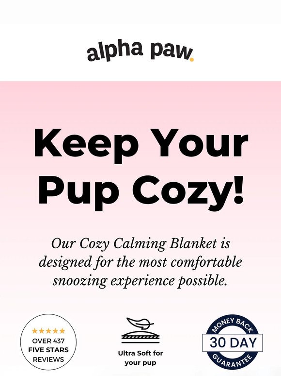 Keep your pup cozy...