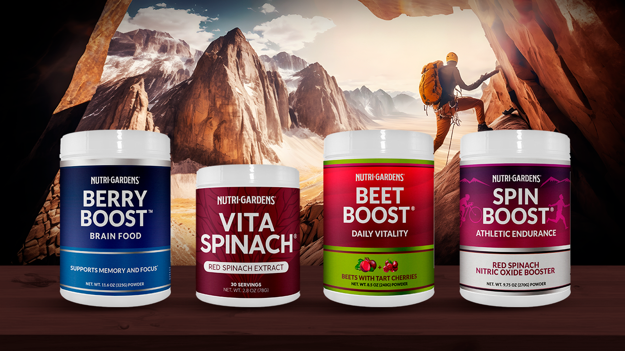 Berry Boost brain support
