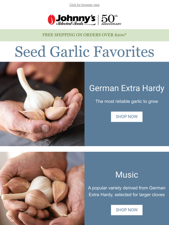 Pre-Order Garlic for Fall Shipment