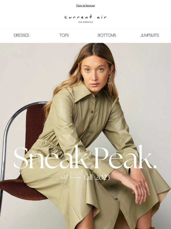 Fall 2023 Sneak Peak ! 🍂