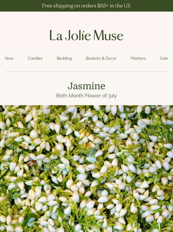 Discover the Serenity of July with Jasmine