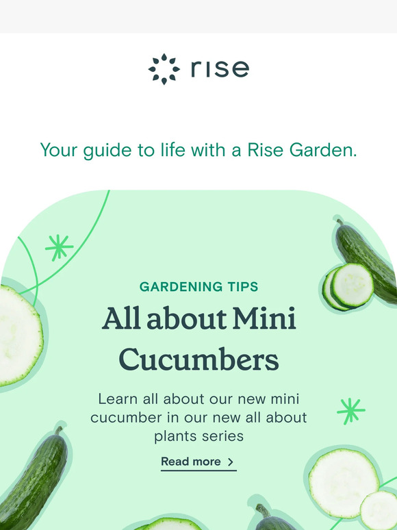 This Week at Rise Gardens Vol. 35 🌱💚