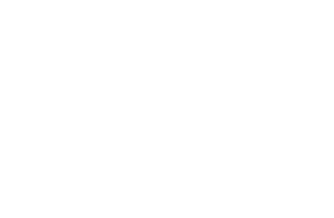 The Lady Shake logo