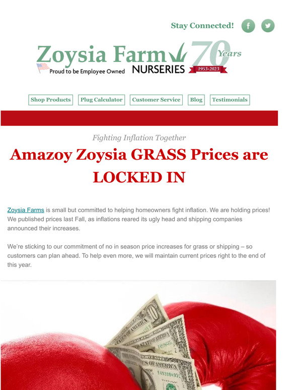 Zoysia Farm Nurseries Zoysia Saving while Fighting Inflation Milled