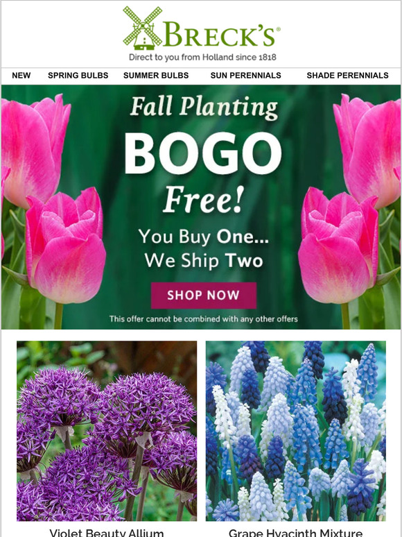 Breck's Free Dutch bulbs & perennials! Milled