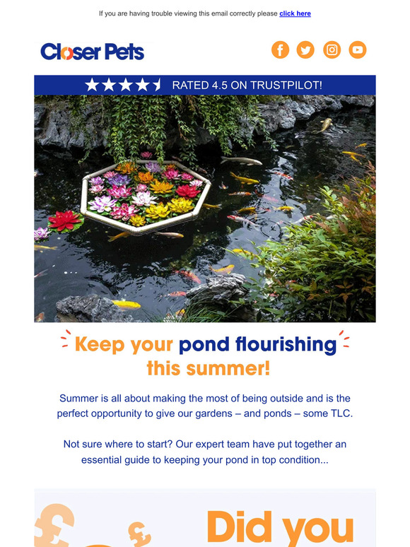 Garden lover - maintain your pond this summer!