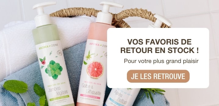 Ils sont de retour !