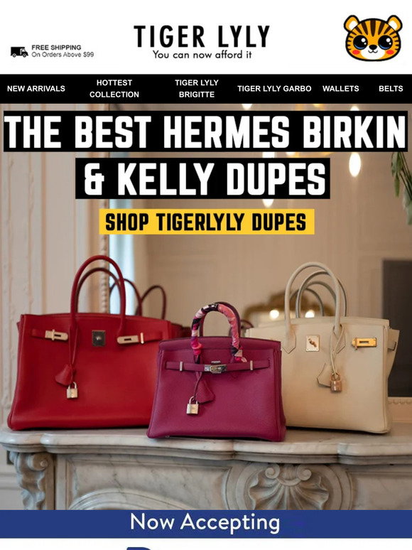 Where to Find The Best Hermes Birkin Dupes