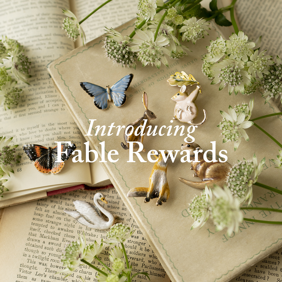 Fable England Introducing Fable Rewards Unlock Rewards & Reach VIP