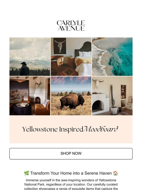 New Arrivals | Yellowstone Inspired Decor