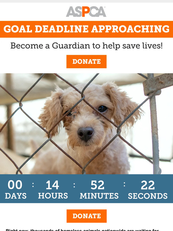 Today is the LAST Day to Reach Our Goal