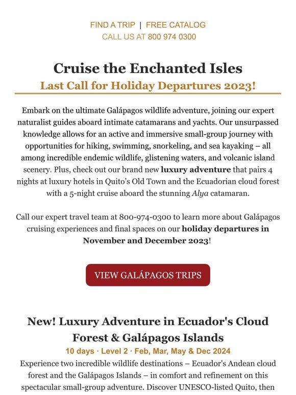 Galápagos Holiday Cruises & New Luxury Adventure