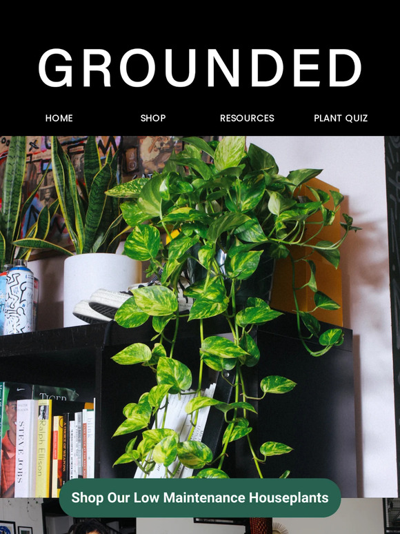 No Green Thumb? No Problem. Shop Now!