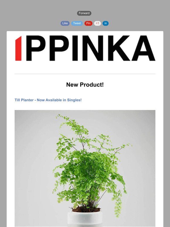 Magnetic Notebook Organizer - IPPINKA