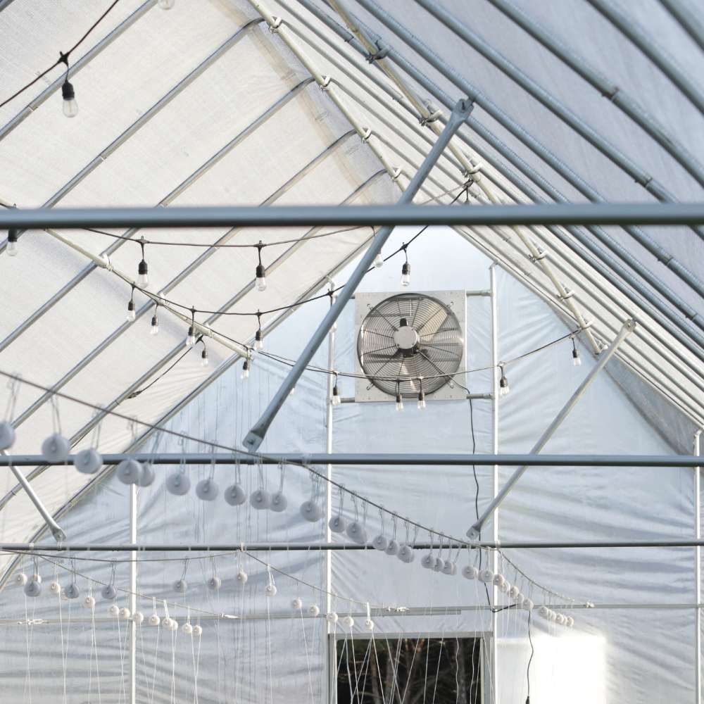 Bootstrap Farmer Inhale Fresh Air, Exhale Healthier Plants 🍃 Milled