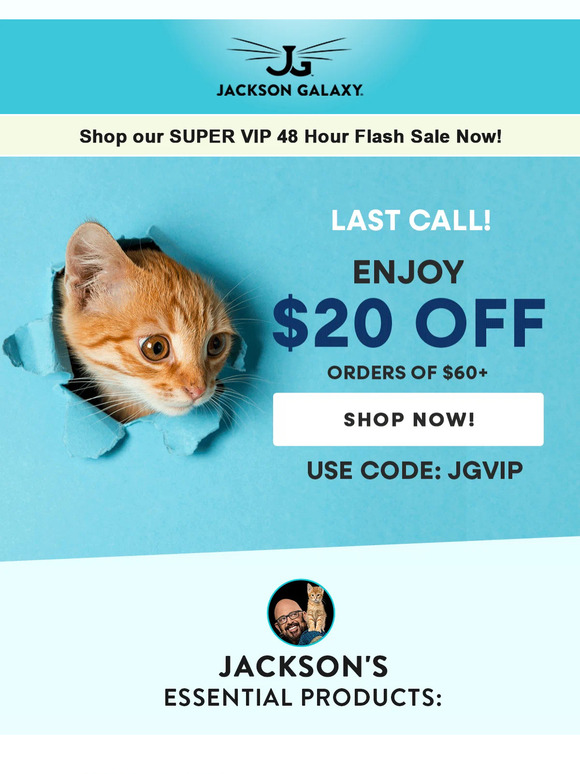 Last Chance for $20 OFF! The Flash Sale Ends Today!