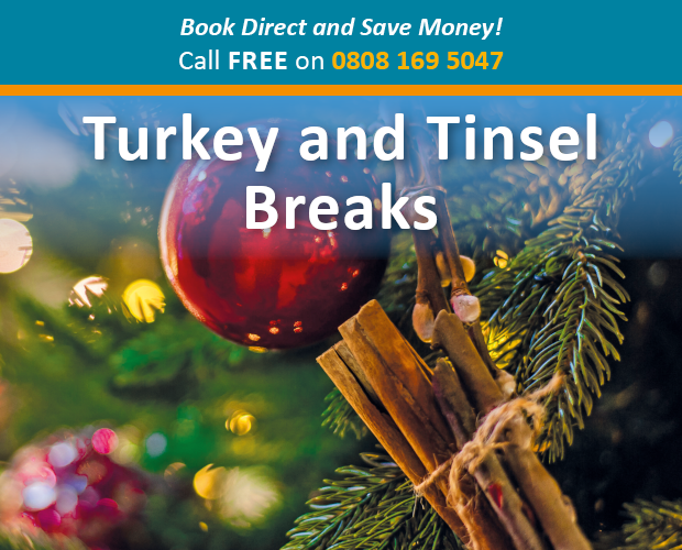 Sunrise Direct Festive Turkey & Tinsel Breaks Milled