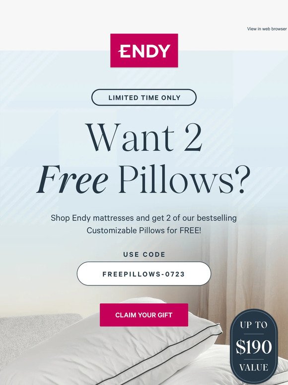 Not just one, but TWO free pillows 😮